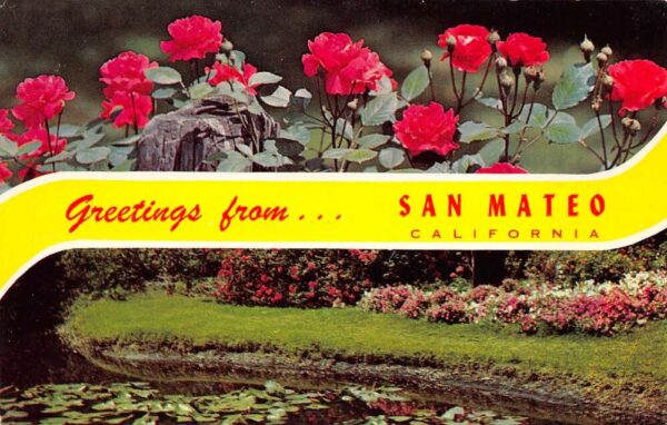 San Mateo California Greetings From San Mateo, Chrome Vintage Postcard U20475