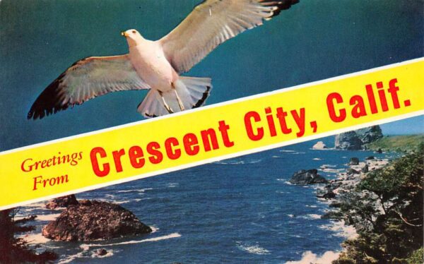 Crescent City California Greetings From Crescent City, Seagull, PC U20476