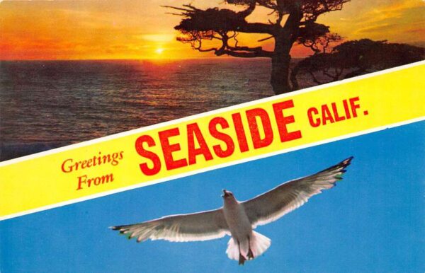 Seaside California Greetings From Seaside, Seagull, Vintage Postcard U20477