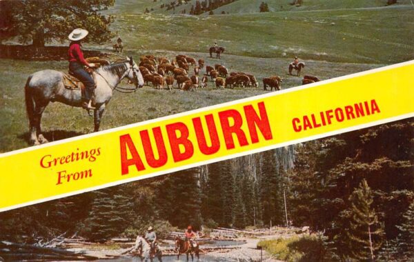Auburn California Greetings From Auburn, Horse Riding, Vintage Postcard U20480