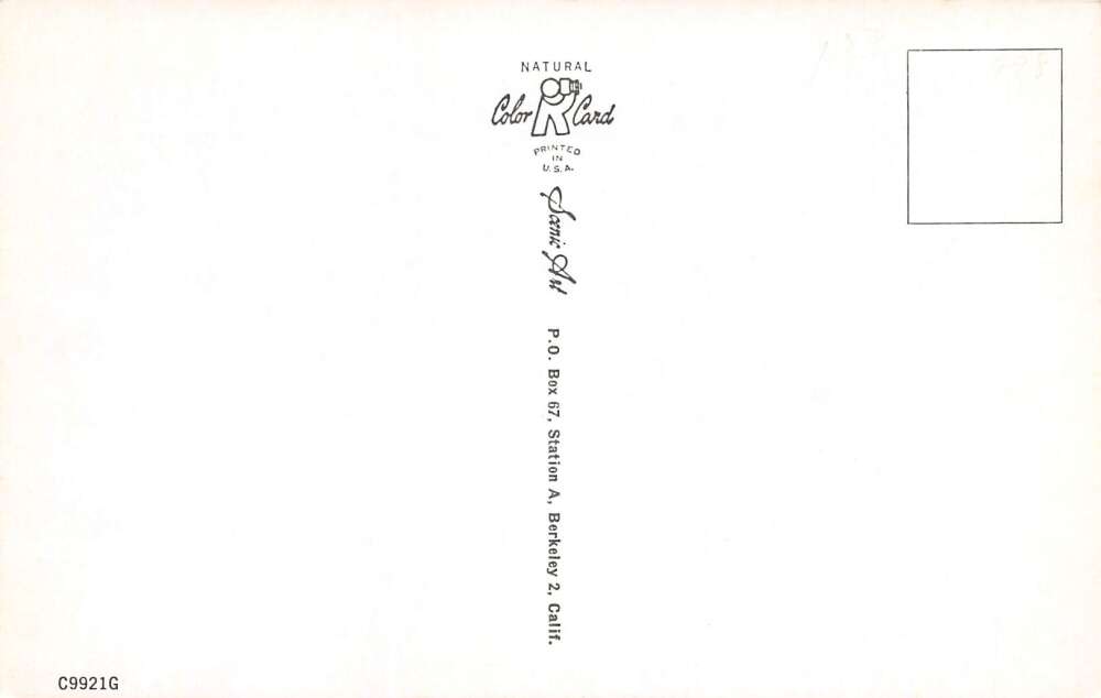 Tempe Arizona Howdy From Tempe, Cattle, Chrome, Vintage Postcard U20485 - Image 2