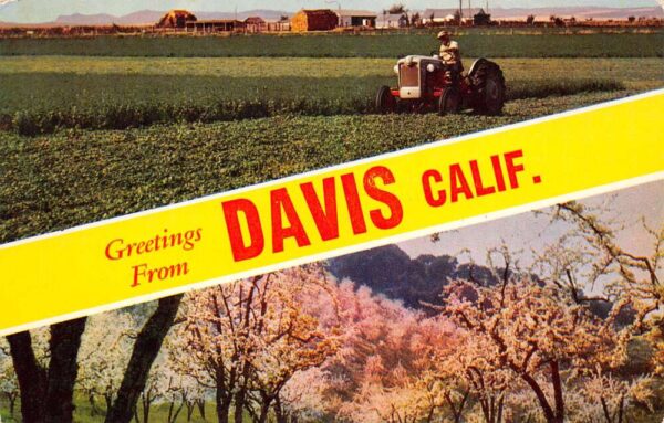 Davis California Greetings From Davis, Chrome, Vintage Postcard U20487