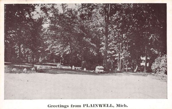 Plainwell Michigan Greetings From Plainwell, B/W Photo Print, Vintage PC U20498