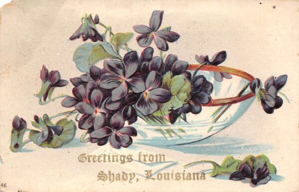 Shady Louisiana Greetings From Shady, Flowers, Vintage Postcard U20500