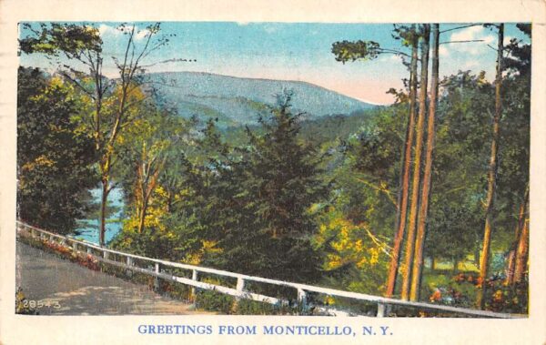 Monticello New York Greetings From Monticello, White Border, Vintage PC U20528