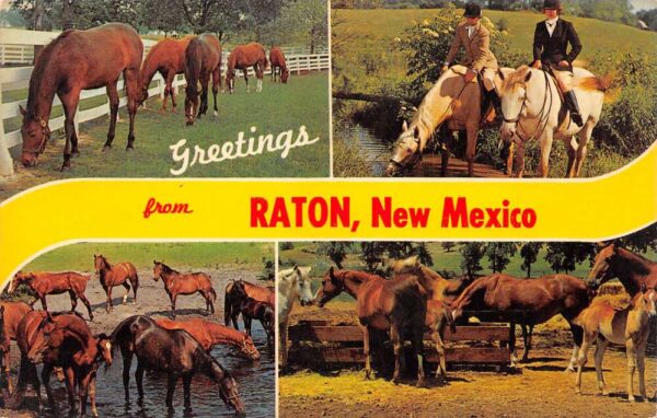 Raton New Mexico Greetings From Raton, Multi-View Chrome, Vintage PC U20542