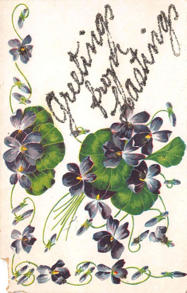 Hastings New York Greetings, Flowers & Glitter, Vintage PC U20552