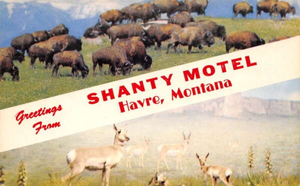 Havre Montana Greetings From Shanty Motel, Chrome, Vintage Postcard U20554