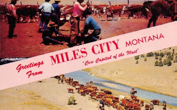 Miles City Montana Greetings From Miles City, Chrome, Vintage Postcard U20558
