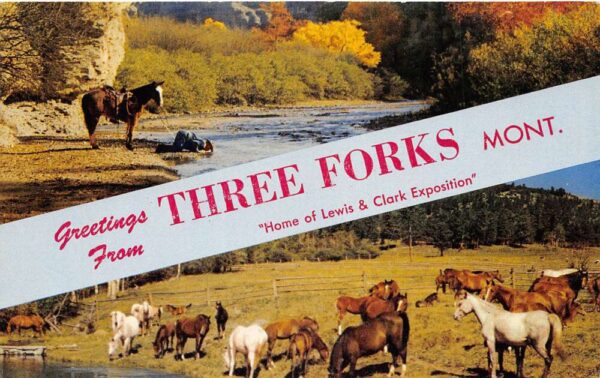 Three Forks Montana Greetings From Three Forks, Chrome, Vintage Postcard U20559