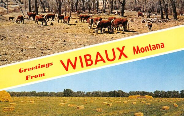 Wibaux Montana Greetings From Wibaux, Chrome, Vintage Postcard U20560