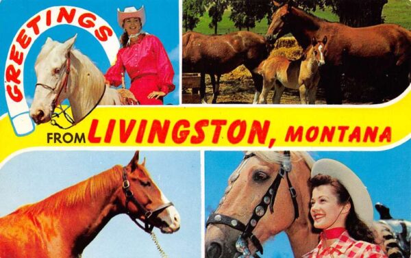 Livingston Montana Greetings From Livingston, Chrome, Vintage Postcard U20564
