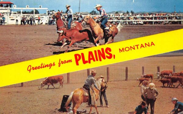 Plains Montana Greetings From Plains, Montana Cowboys, Vintage Postcard U20566