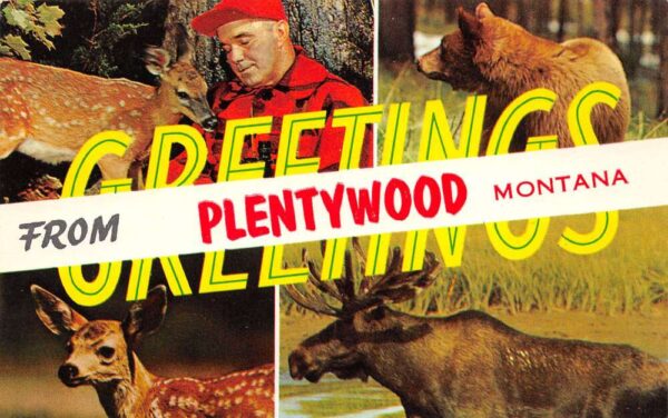 Plentywood Montana Greetings From Plentywood, Chrome, Vintage Postcard U20568