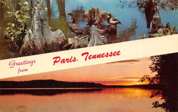 Paris Tennessee Greetings From Paris, Chrome, Vintage Postcard U20581