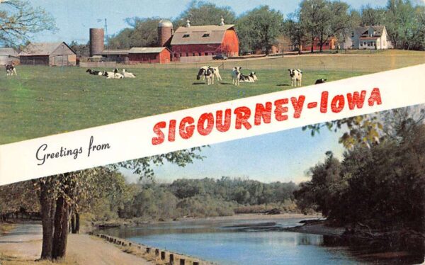Sigourney Iowa Greetings From Sigourney, Chrome, Vintage Postcard U20585