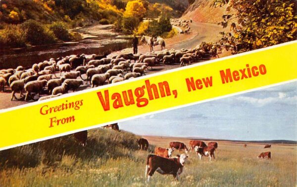 Vaughn New Mexico Greetings From Vaughn, Cattle, Vintage Postcard U20596