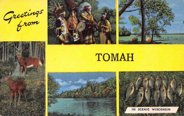 Tomah Wisconsin Greetings From Tomah, Multi-View Linen, Vintage Postcard U20598