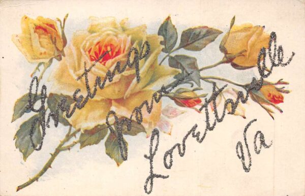 Lovettsville Virginia Greetings Yellow Roses Glitter Postcard AA87505
