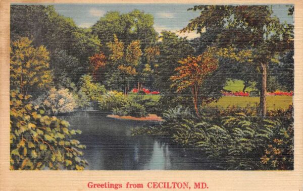 Cecilton Maryland Greetings Scenic View Vintage Postcard AA87509