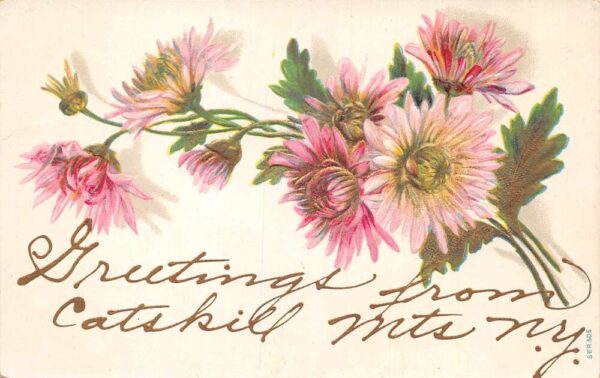 Catskill Mts New York Greetings Pink Flowers Vintage Postcard AA87513