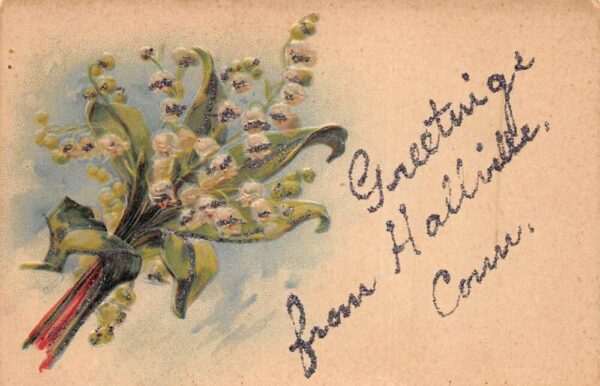 Hallville Connecticut Greetings Flowers Glitter Postcard AA87516