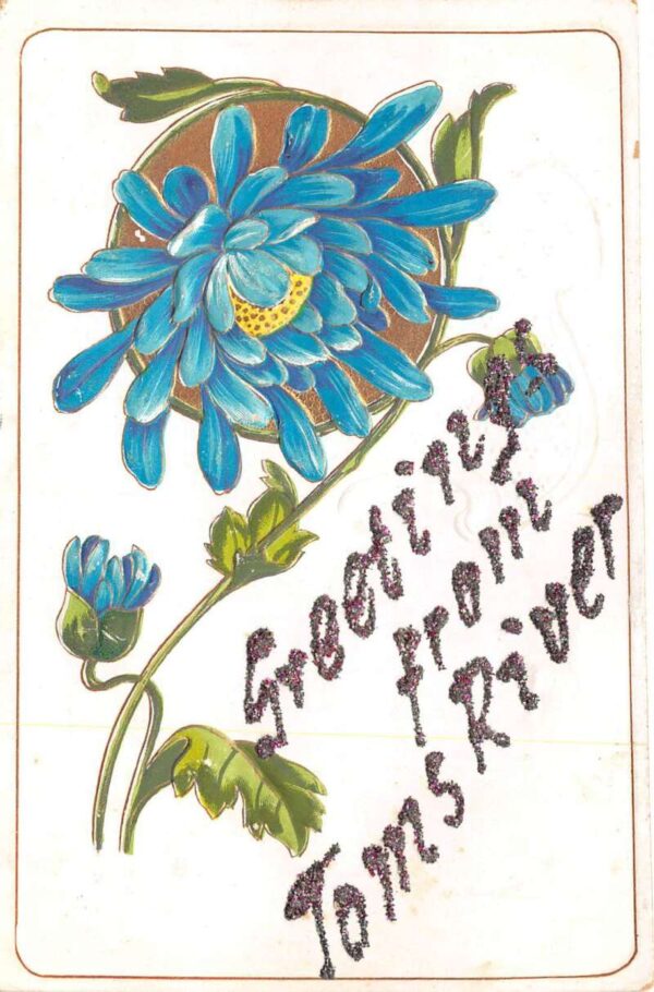 Toms River New Jersey Greetings Blue Flowers Glitter Postcard AA87518
