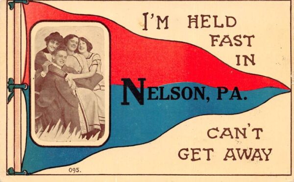 Nelson Pennsylvania Greetings Pennant Flag Vintage Postcard AA87536