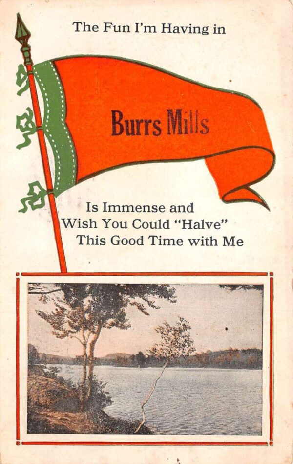 Burrs Mills New Jersey Greetings Pennant Flag Scenic View Postcard AA87543