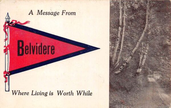 Belvidere Vermont Greetings Pennant Flag Vintage Postcard AA87544