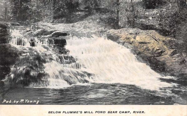 Plumme's Mill Pond Bear Camp River Waterfall Scenic View Postcard AA101100