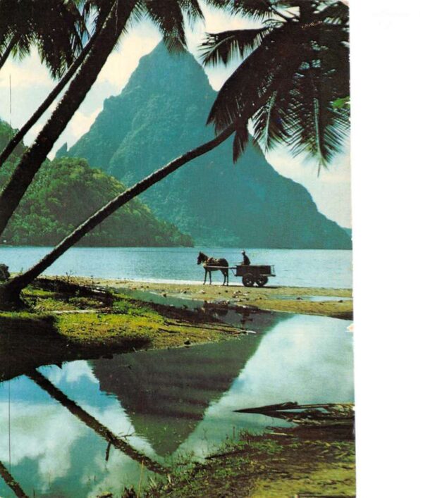 St Lucia West Indies Petit Piton Mountain Scenic View Vintage Postcard AA101103