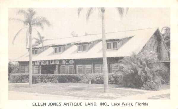 Lake Wales Florida Ellen Jones Antique Land Store Vintage Postcard AA101239