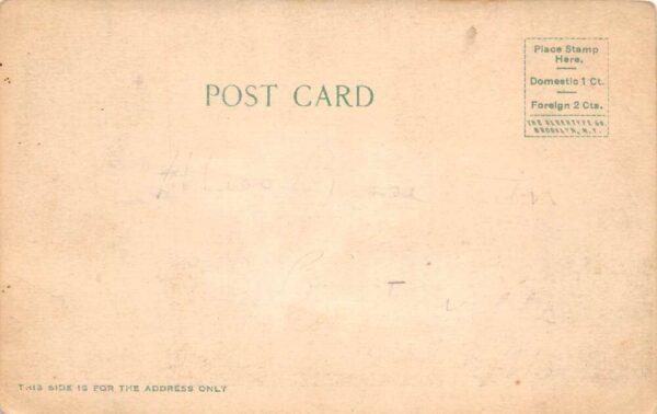 Carthage Missouri Court House Vintage Postcard AA101259 - Image 2