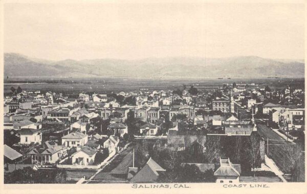 Salinas California Birds Eye View Vintage Postcard AA101283