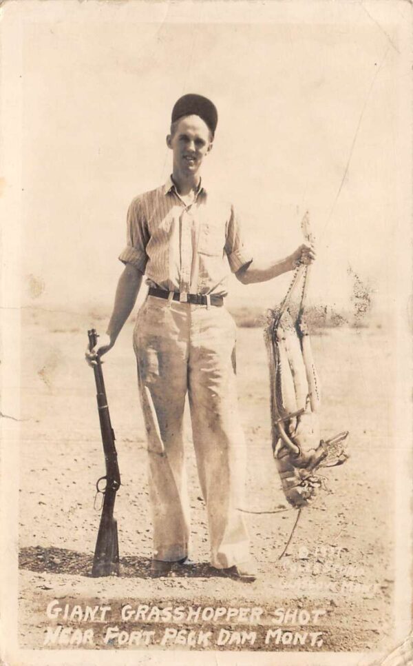 Fort Peck Dam Montana Giant Grasshopper Hunter Real Photo Postcard AA101286
