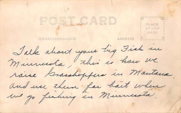 Fort Peck Dam Montana Giant Grasshopper Hunter Real Photo Postcard AA101286 - Image 2