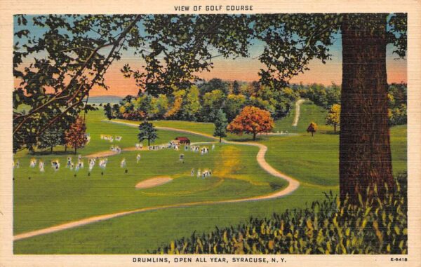 Syracuse New York Drumlins Country Club Golf Course Vintage Postcard AA101434