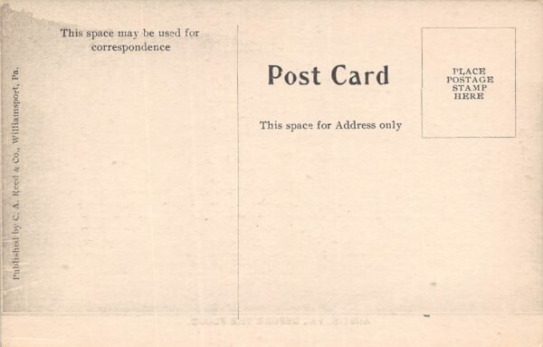 Austin Pennsylvania Before The Flood, B/W Lithograph, Vintage Postcard U23282 - Image 2