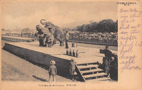 Cobleskill New York Cobleskill Fair, Performing Elephants, Vintage PC U23296