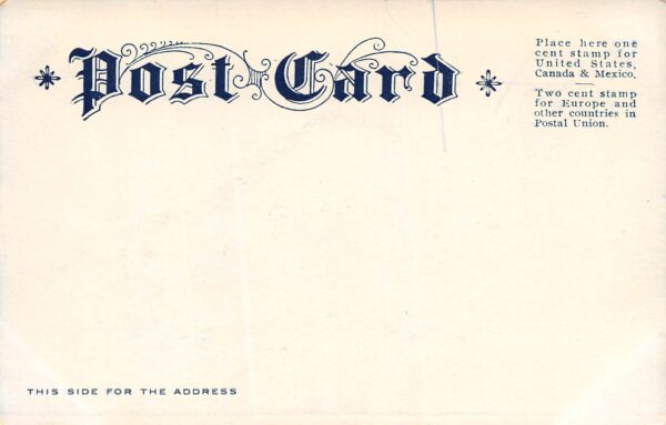 Albany New York South Gate, All Hallowe'en Carnival 1905, Vintage PC U23297 - Image 2