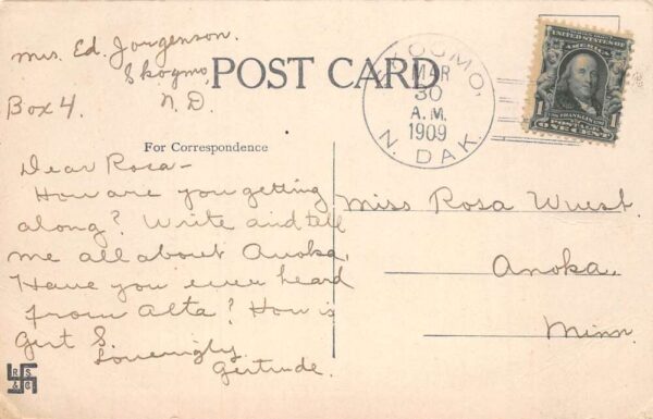 Lake McDonald Montana Porcupine in Camp Real Photo Vintage Postcard AA101756 - Image 2