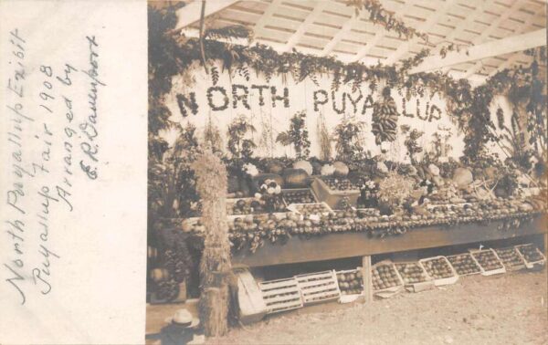 Puyallup Washington 1908 Puyallup Fair Fruit Exhibit Real Photo PC AA101795