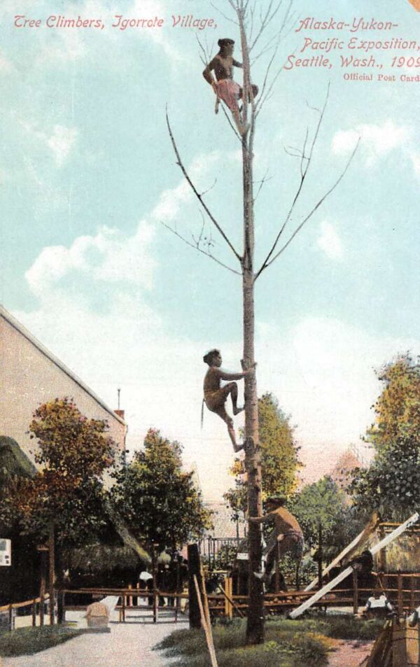 Seattle Washington Alaska Yukon Pacific Expo Igorrate Human Zoo PC AA101803