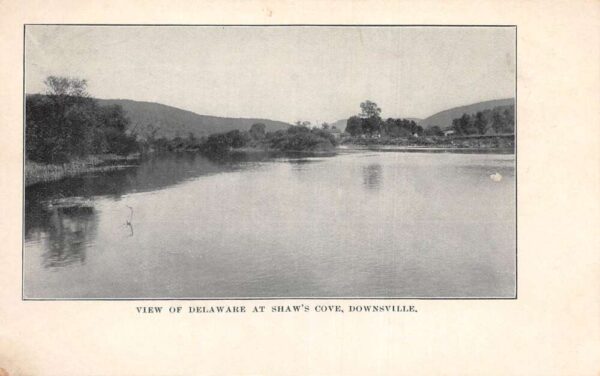 Downsville New York Shaw's Cove Scenic View Vintage Postcard AA101808