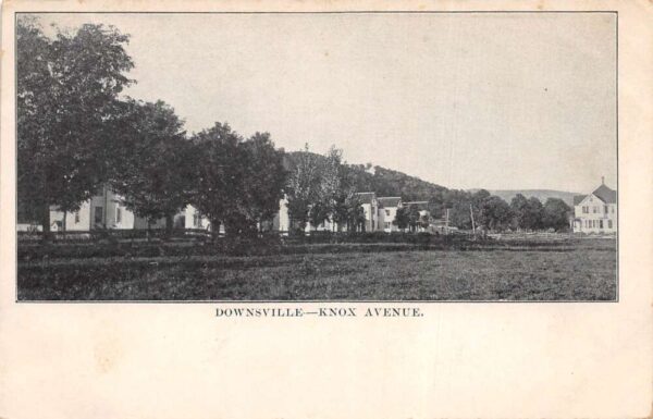 Downsville New York Knox Avenue Vintage Postcard AA101809