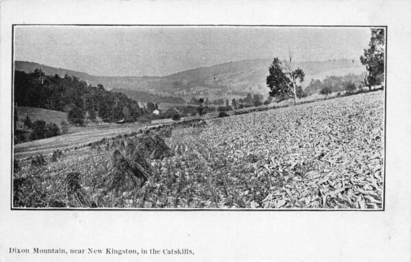 Dixon Mountain New York Catskill Mountains Scenic View Vintage Postcard AA101811