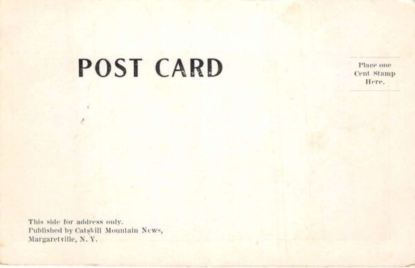 Dixon Mountain New York Catskill Mountains Scenic View Vintage Postcard AA101811 - Image 2