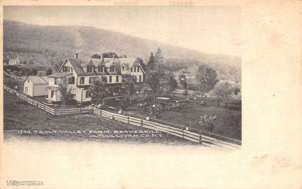 Beaverkill New York Trout Valley Farm Vintage Postcard AA101812