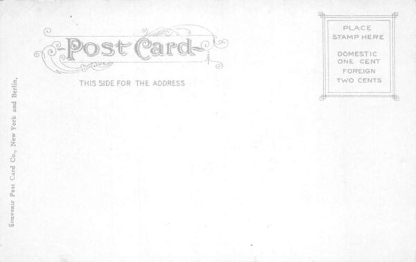 Baltimore Maryland After Great Fire Disaster Birds Eye View Postcard AA101815 - Image 2